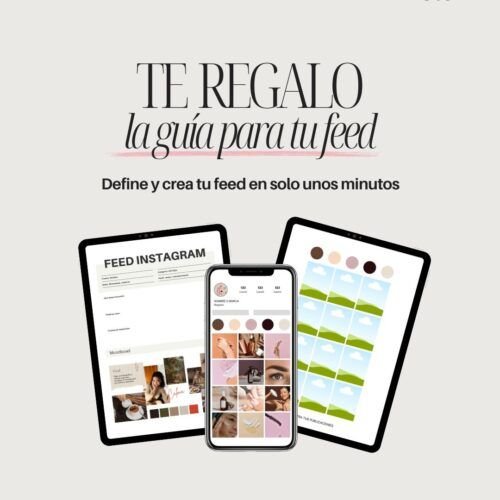 Guía feed Instagram (Canva)